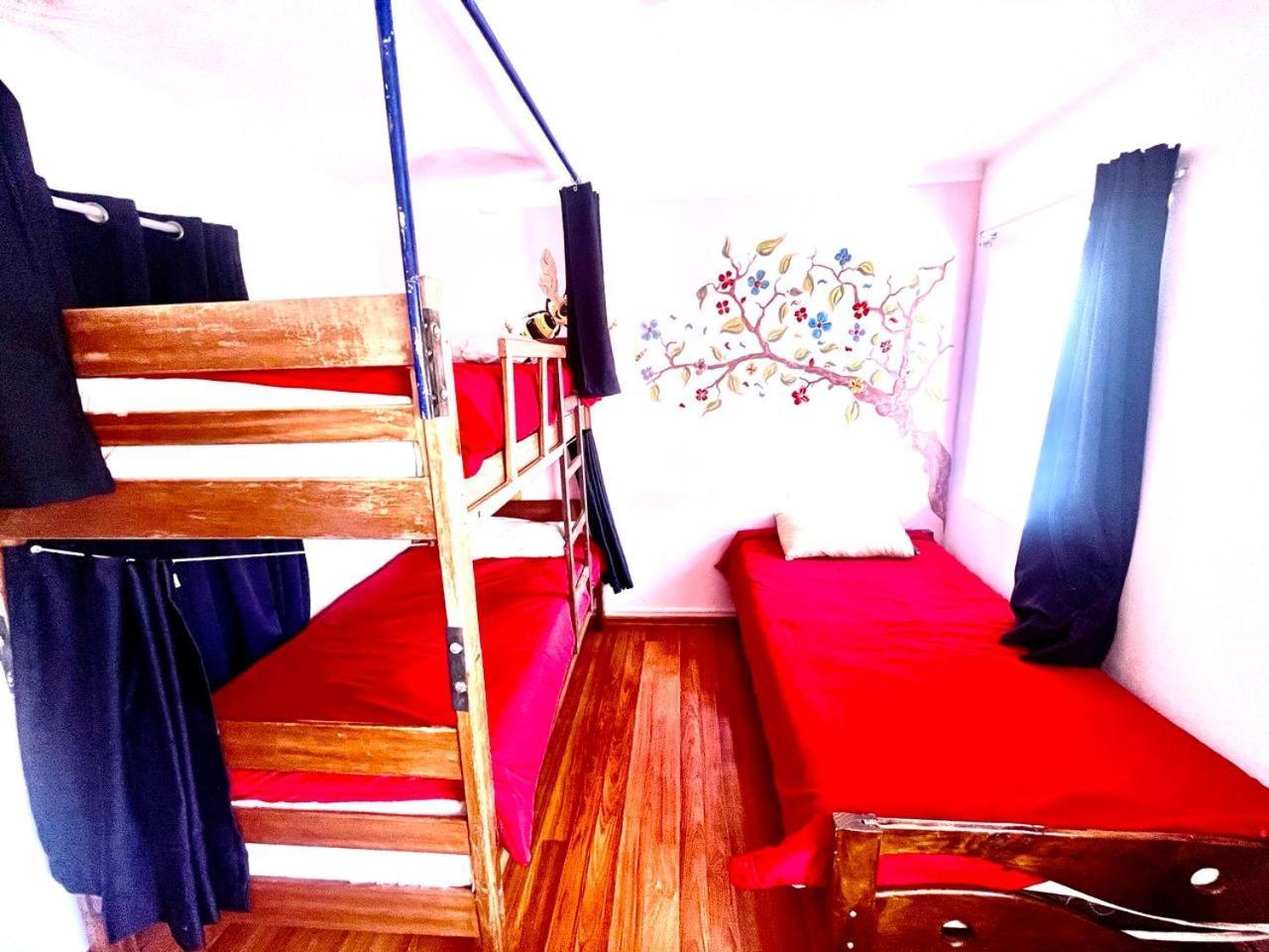 Cusco House Inn Hostel מראה חיצוני תמונה